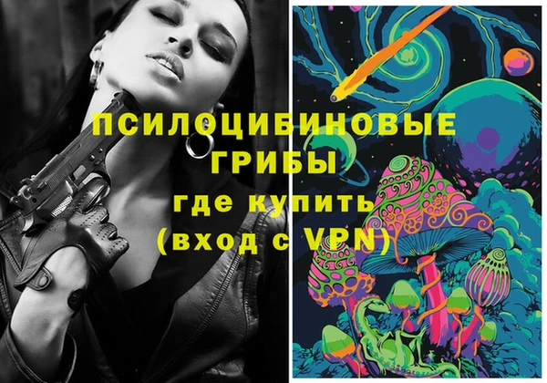 крисы Баксан