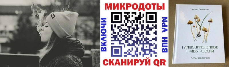 Купить закладки  Зея  Галлюциногенные грибы Psilocybe 